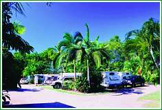 Tropical Hibiscus Caravan Park - C Tourism