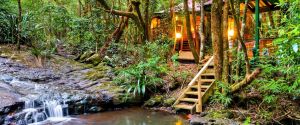 The Mouses House - Rainforest Retreat - C Tourism