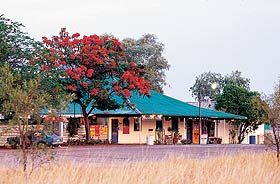 Wauchope Hotel and Roadhouse - C Tourism