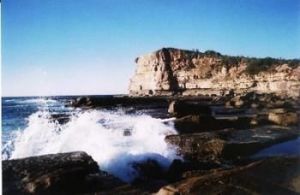 Terrigal Lagoon Bed and Breakfast - C Tourism