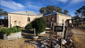 Bellwether Wines - C Tourism