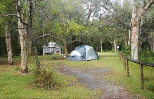 Kylies Hut walk-in campground - C Tourism