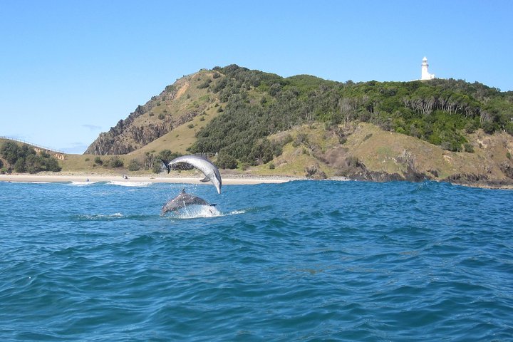 Kayaking with Dolphins in Byron Bay Guided Tour - C Tourism